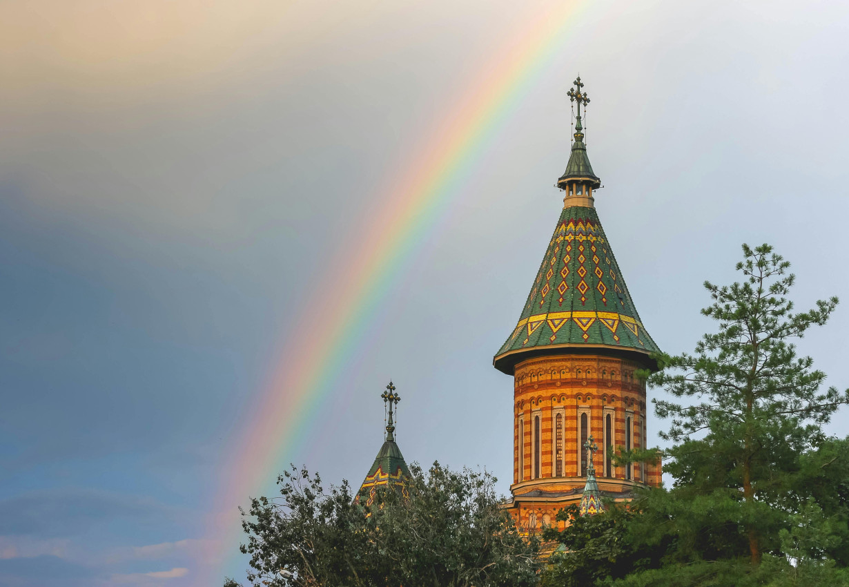 5 motive să alegi o firmă locală pentru crearea unui magazin online - 21/Oct/2025