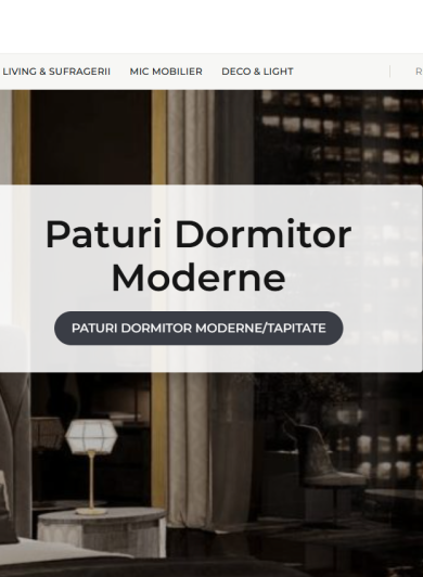 Optimizare on-site si performanta SEO: studiu de caz